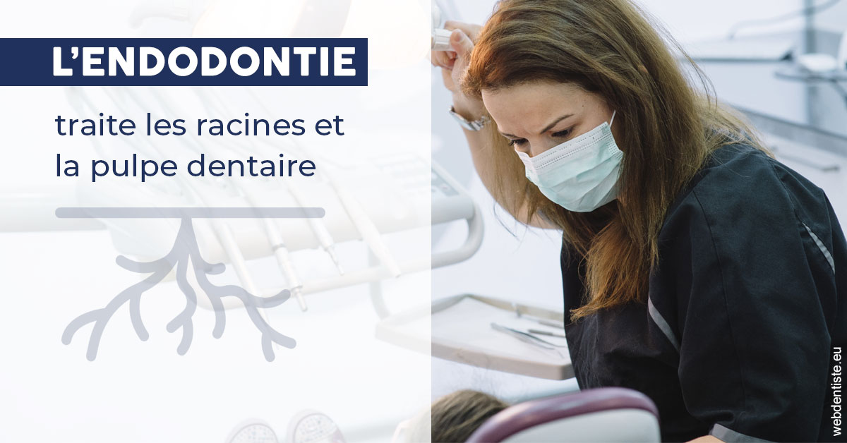 https://selarl-cabinet-onciu-et-associes.chirurgiens-dentistes.fr/L'endodontie 1