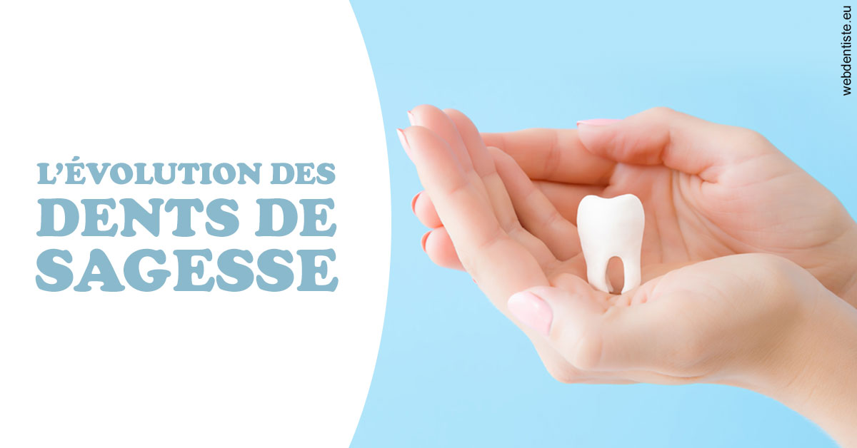 https://selarl-cabinet-onciu-et-associes.chirurgiens-dentistes.fr/Evolution dents de sagesse 1