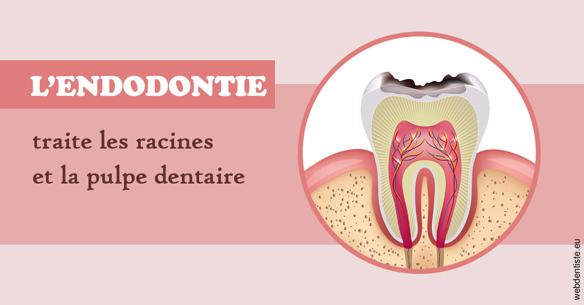 https://selarl-cabinet-onciu-et-associes.chirurgiens-dentistes.fr/L'endodontie 2