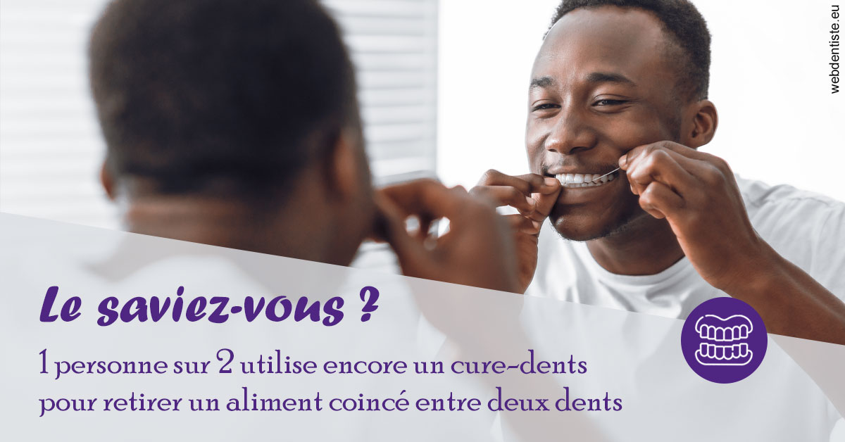 https://selarl-cabinet-onciu-et-associes.chirurgiens-dentistes.fr/Cure-dents 2