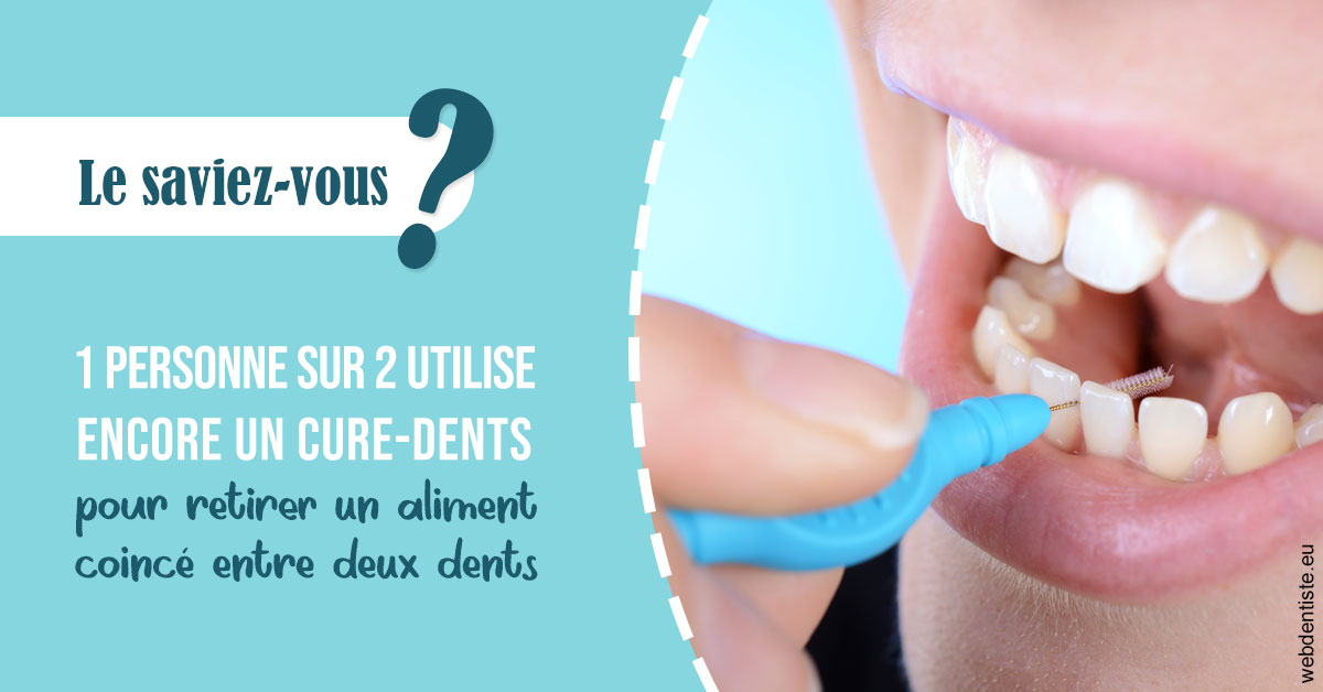 https://selarl-cabinet-onciu-et-associes.chirurgiens-dentistes.fr/Cure-dents 1