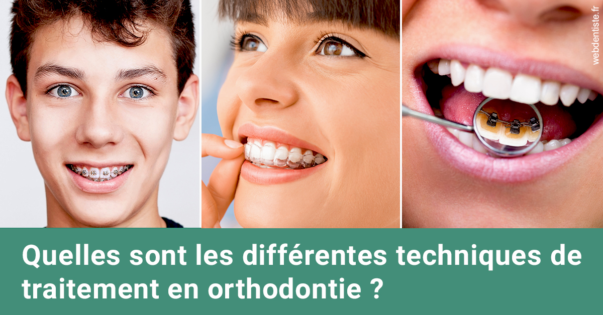 https://selarl-cabinet-onciu-et-associes.chirurgiens-dentistes.fr/Les différentes techniques de traitement 2