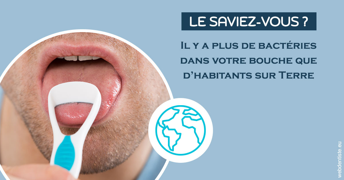 https://selarl-cabinet-onciu-et-associes.chirurgiens-dentistes.fr/Bactéries dans votre bouche 2