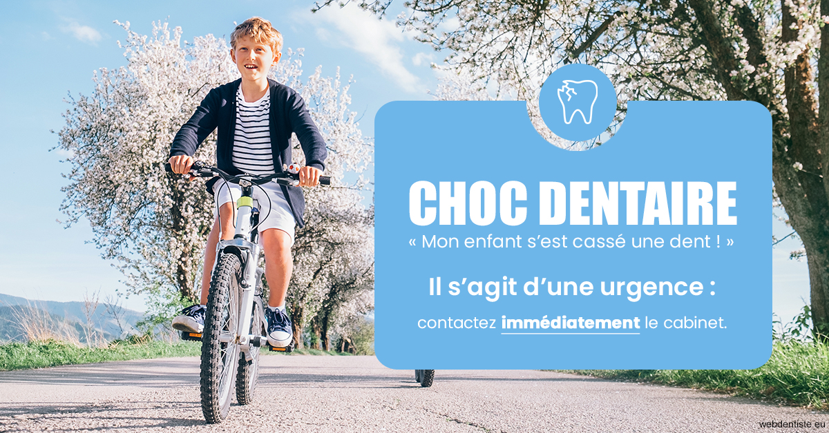 https://selarl-cabinet-onciu-et-associes.chirurgiens-dentistes.fr/T2 2023 - Choc dentaire 1